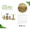 Everflow PEX Ax3/4" Hose Bib, 6" Long Anti-Siphon Sillcock Frost Free Outdoor Faucet w/Vacuum Breaker 1/2" 62061F-NL - alternate 2